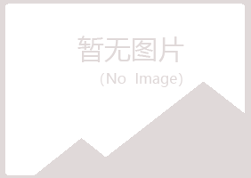 德格县冰夏工程有限公司